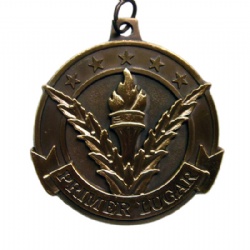 3D Iron Die Struck Medal