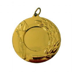 3D Iron Die Struck Insert Medal